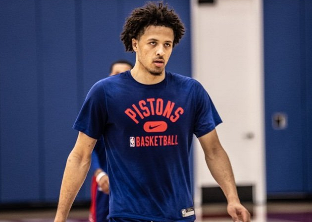 有望实现 有望实现